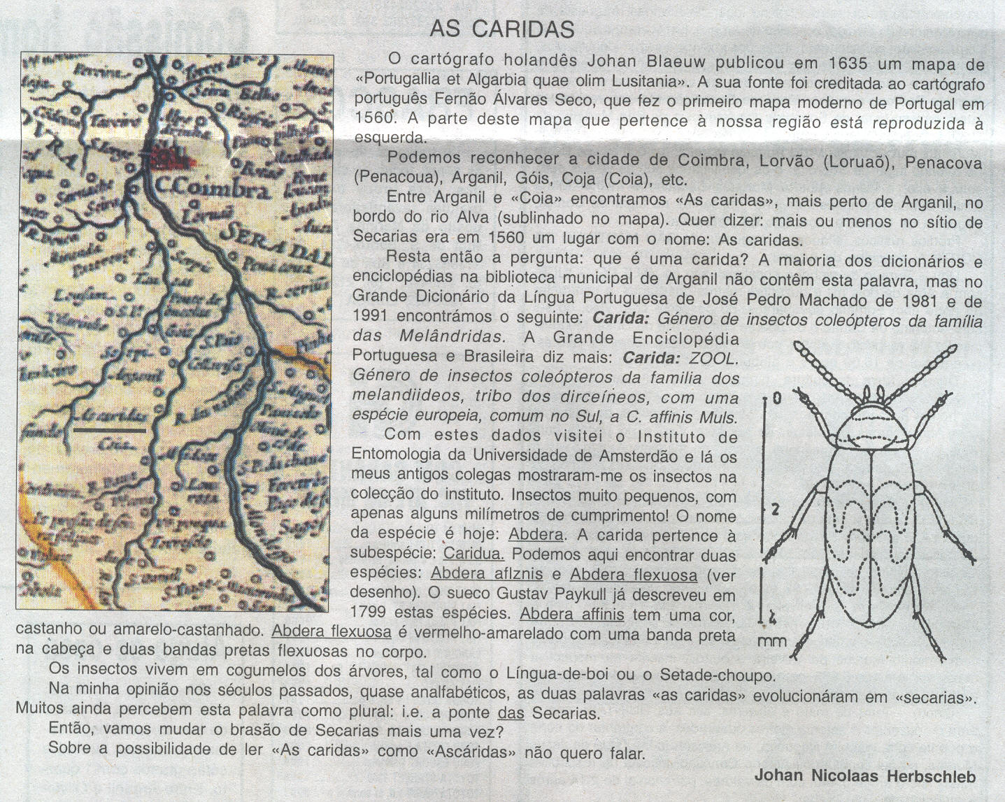 caridas